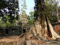 Angkor Ta Prohm P0172